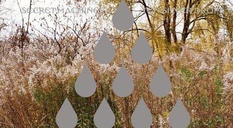 David Bowie interviews Secret Machines, 2006.