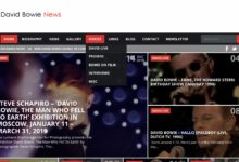 DBN website user guide