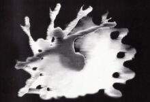 David Bowie – Telling Lies (Adam F mix)