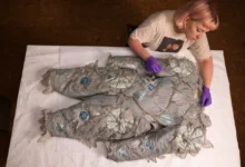 David Bowie’s V&A archive to go on tour across the UK